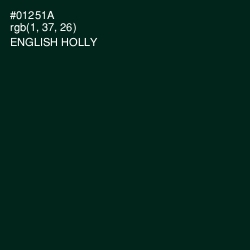 #01251A - English Holly Color Image